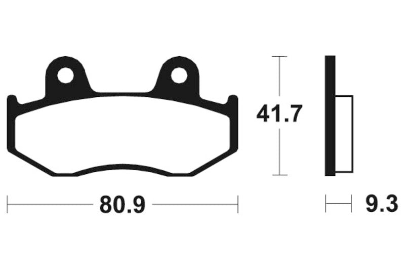 Tecnium Maxi Scooter Sintered Metal Remblokken - MSS209 1023187