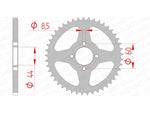 AFAM Steel Standard Achter Sprock 12100 - 420