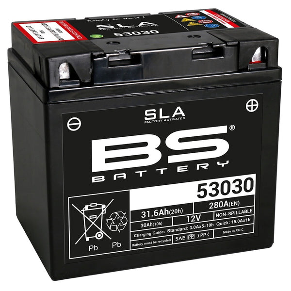 BS Battery SLA onderhoud -vrije fabriek -Batterij -53030