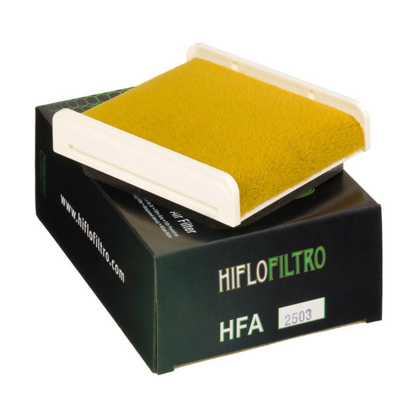 Hiflofiltro Air Filter - HFA2503 HFA2503