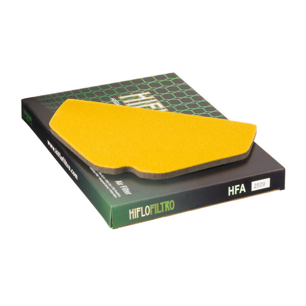 HifLOfiltro Air Filter - HFA2909 HFA2909