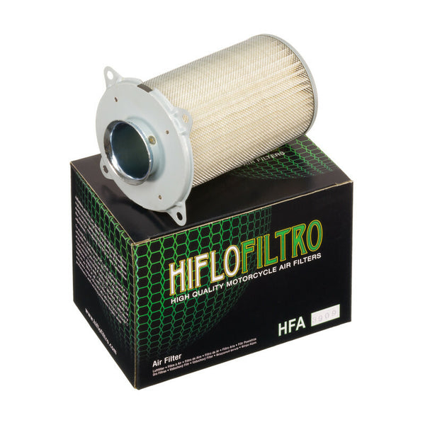 HifLOfiltro Air Filter - HFA3909 HFA3909
