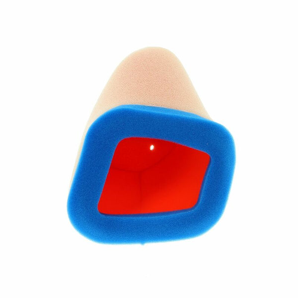 Tecnium Air Filter - 0306 1098796