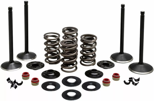 Kibblewhite Valve Kit Comp 84-98 EVO 20-22650