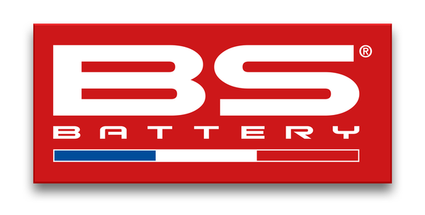 BS Battery Sticker - Franse vlag (rode variant) - 300 × 131 mm - 900102