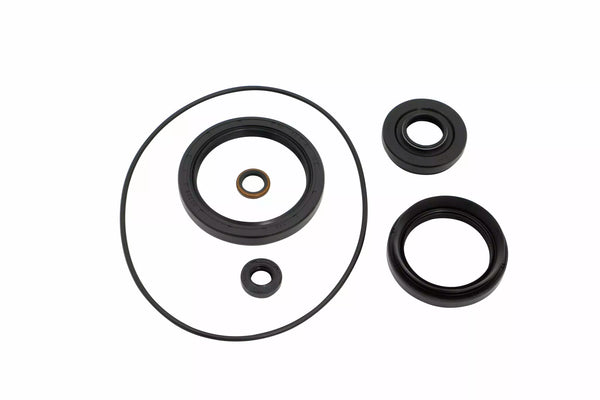 Epi Differential SEAL KIT VOOR WE290149