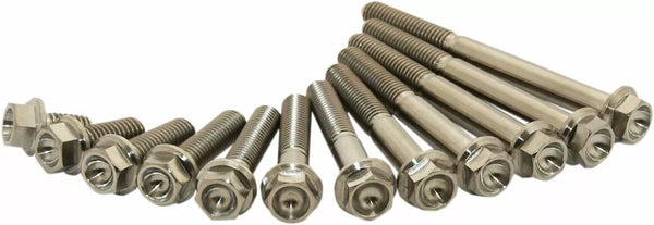 Litteken titanium bout m6x35 pakket van 2 stim6x3502