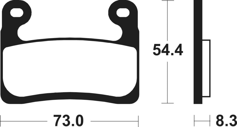 Tecnium Street Performance Sintered Metal Remblokken - MF460 1127819