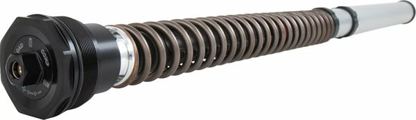 Ohlins Cartridge Kawasaki Z900 Nix30s FKS 511