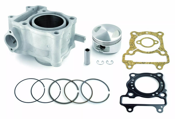 Airsal Cyl Kit She SH 125 02046358